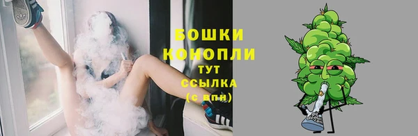 таблы Богородицк