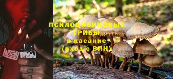 соль курить ск Богданович